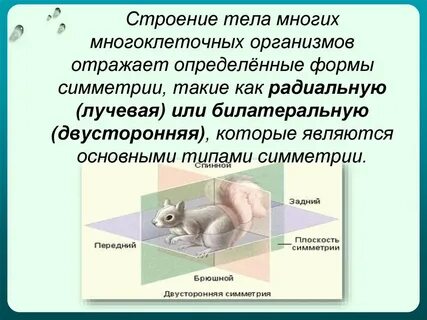 Многие организмы