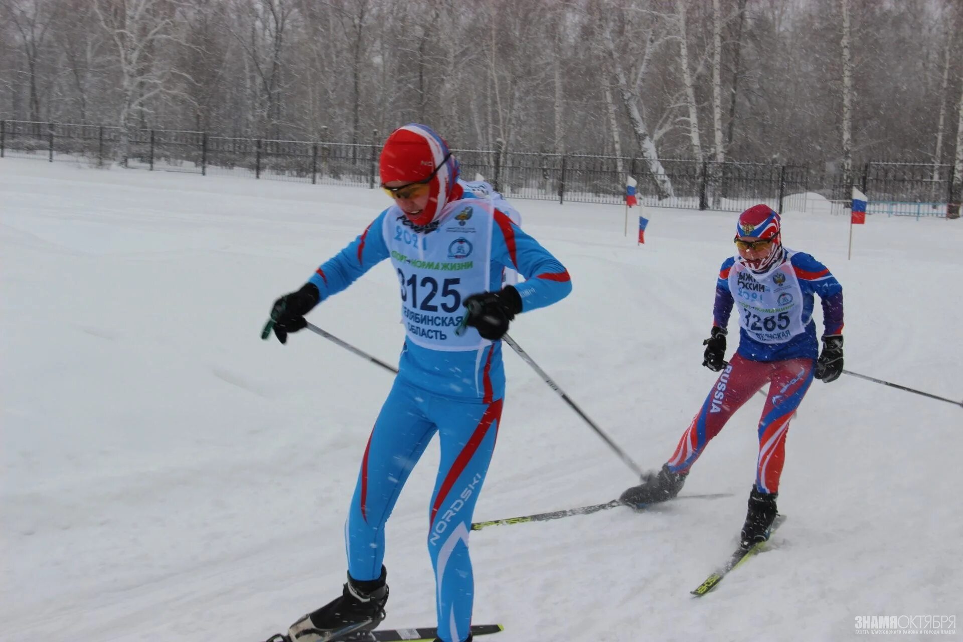Апатитский лыжный марафон 2023. Лыжные гонки. Самара лыжня 2024. Соревнования 20 февраля в сосновом бору великие луки. Сокольи горы марафон 2021.