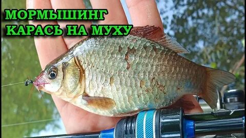 Карась на спиннинг