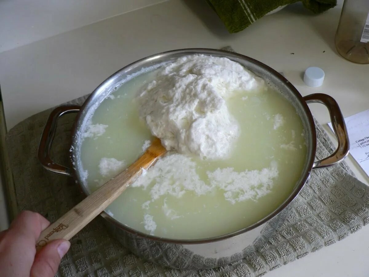 Рецепт домашнего творога из кислого молока. Приготовление творога. Скисшее молоко. Кислое молоко. Творог из молока в домашних.