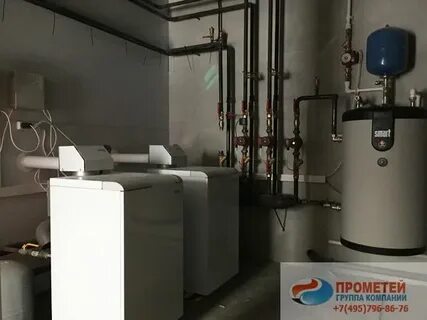 Протерм медведь 40