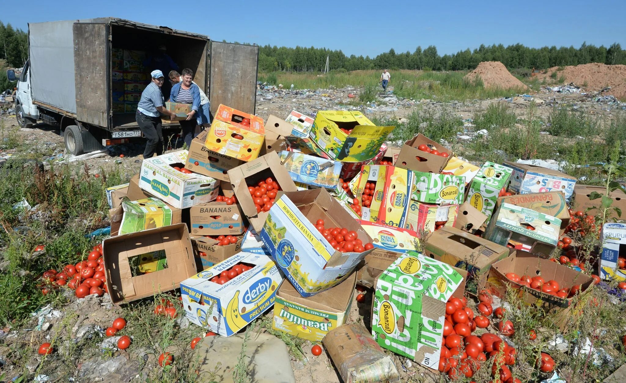 Россию утилизируют. Свалка продуктов. Продукты на помойке. Утилизация продуктов питания. Свалка просроченных продуктов.