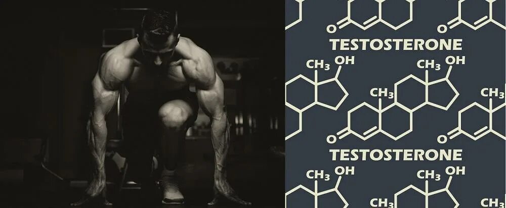 Цинк повышает тестостерон. Тестостерон. тестостерон у мужчин. тестостерон гормон. тестостерон для спортсменов.