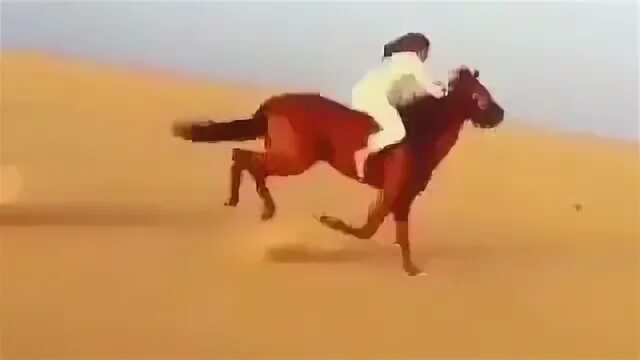 Ummati qad laha fajrun нашид. Mahum bi ummati tekst. ummati qad laha fajrun. песня иигил ummati qad laha. махум би уммати ахмади текст.
