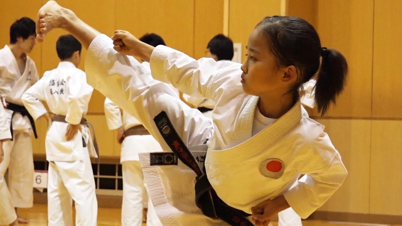 Japanese karate