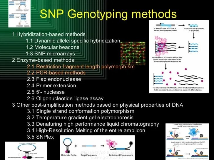 Single nucleotide polymorphism