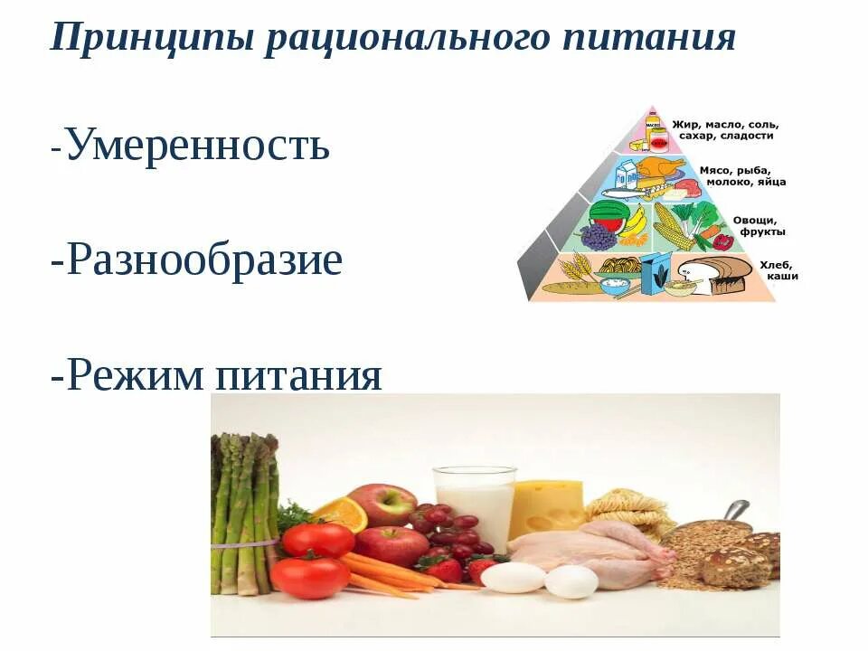 Режим рационального питания. Влияние рационального питания. Основные принципы здорового питания. Принципы рационального питания. Биохимические аспекты рационального питания