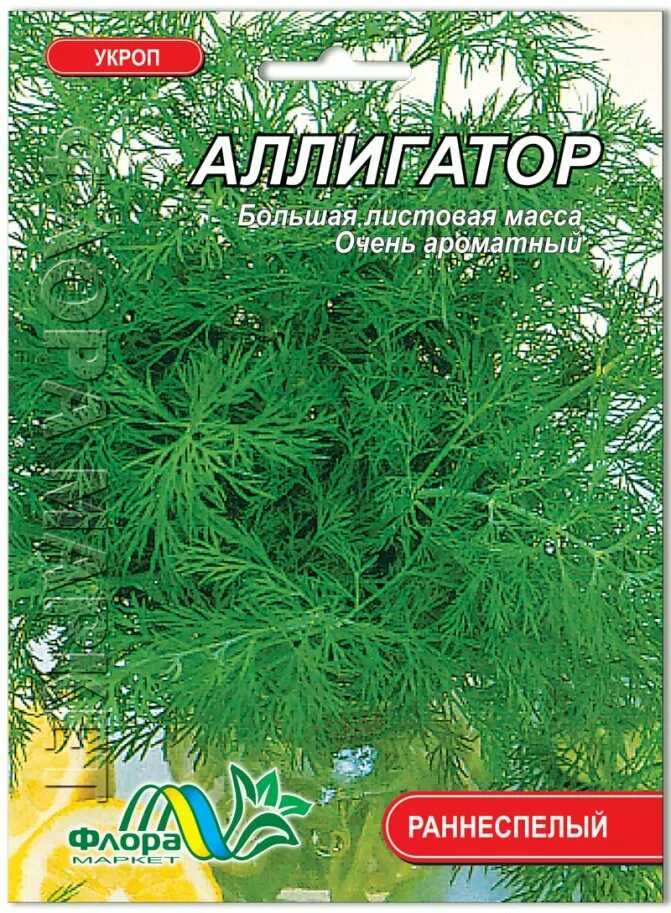 Укроп аллигатор гавриш. Укроп аллигатор фото описание. Укроп аллигатор раннеспелый. Укроп аллигатор фото описание. Укроп сорта на зелень.