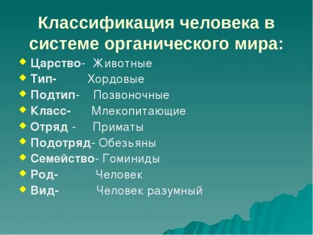 Что является органическими миром. Классификация человека. Систематика человека. Классификация животных человек. Систематика животных человек.