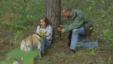 Волга лесник друзья