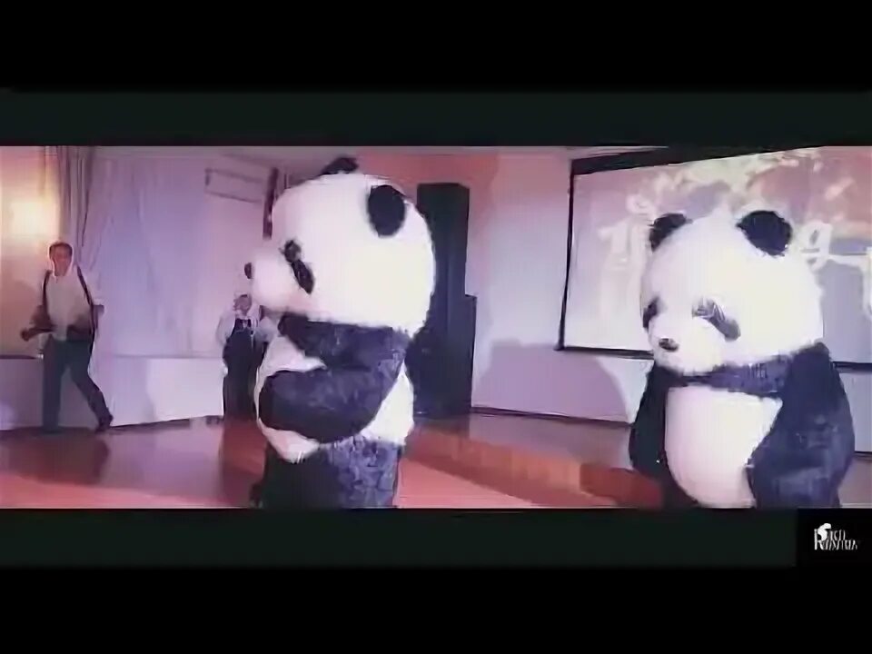 Панда танцует видео. Шоу танцы Панда танцует. Танцующая Панда видео. Даугавпилс Панда танцует. Танец панды выступление.