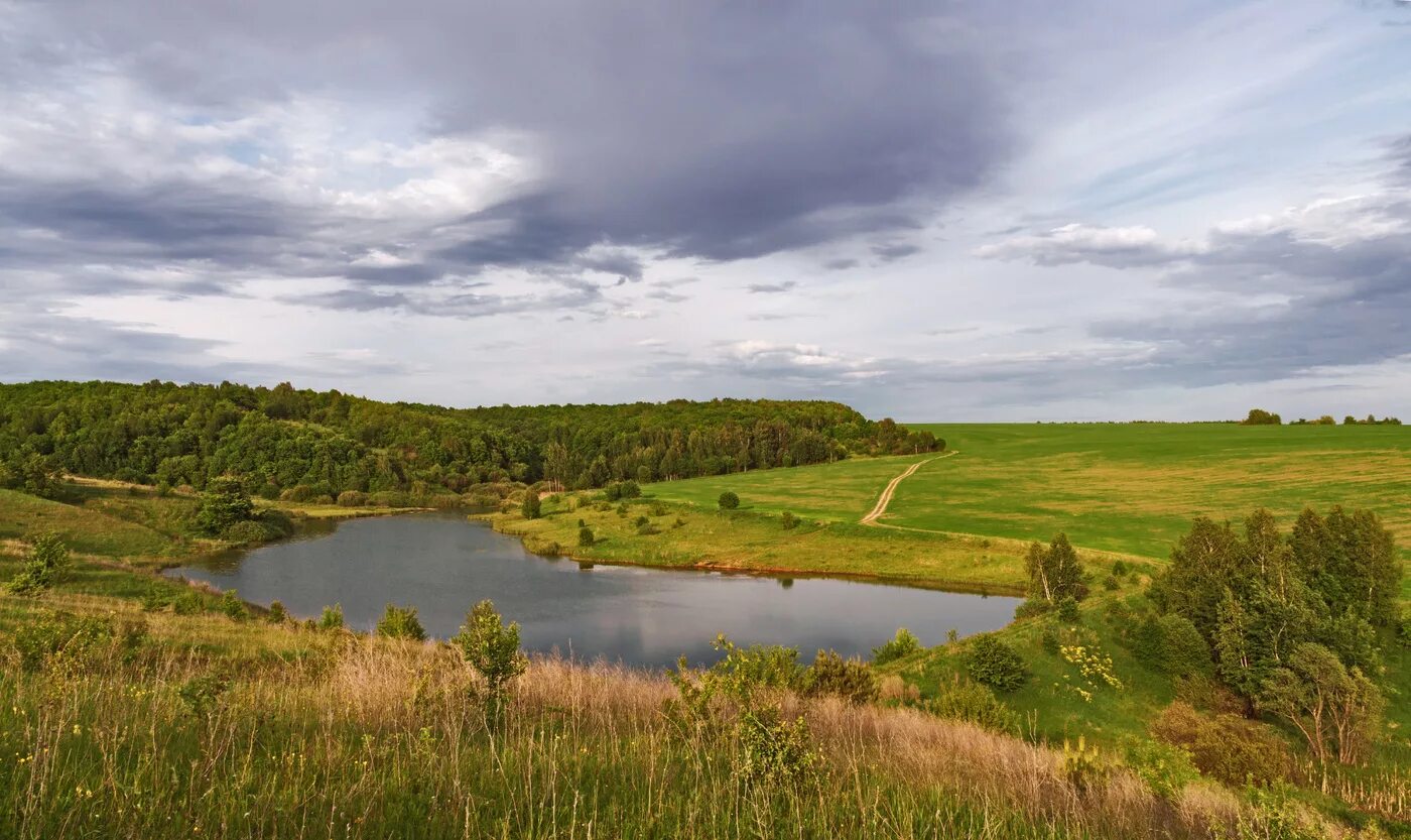 3 края нижегородской области. Нижегородская лесостепь. Нижний Новгород лесостепь. Степи Нижегородской области. Покровская лесостепь заповедник.