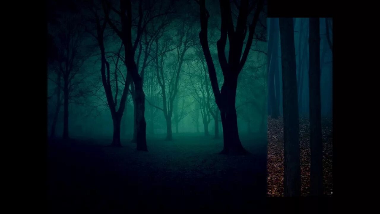 Чувство темный лес. Темный лес. лес темный страшный. жуткий лес. страшный ночной лес.