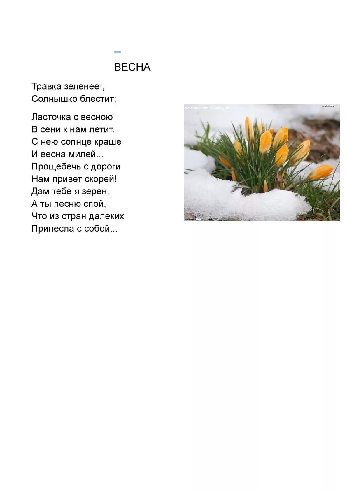 Стихотворение плещеева травка зеленеет солнышко блестит. Травка зеленеет солнышко. Травка зеленеет солнышко блестит мальчик. Стих плещеева ласточка. Травка зеленеет прикол.