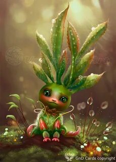 Baby plant