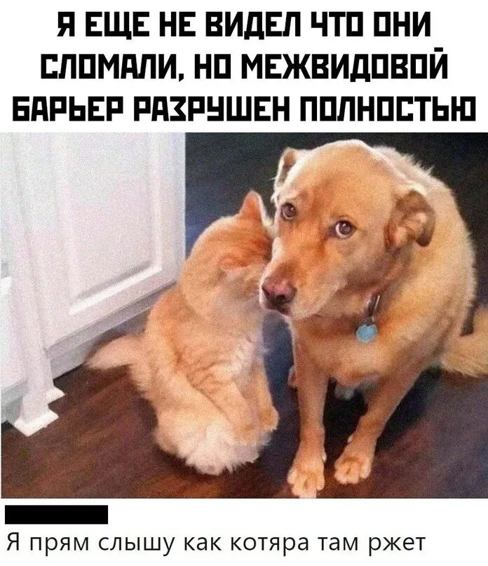 Шутка рахманинова. Что прям слышно. Девочка с пулеметом прикол. Что прям слышно. Надбавка к пенсии за 40 лет трудового стажа.