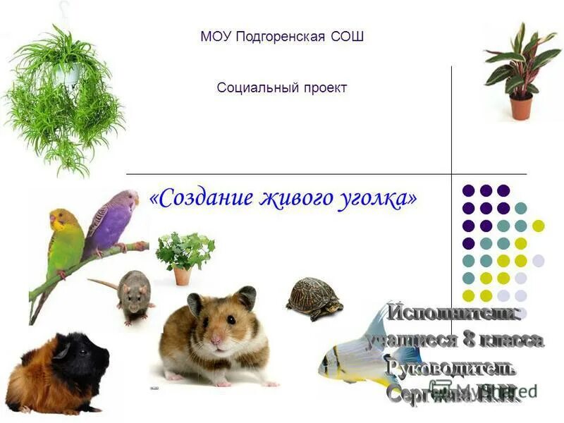 создать живого. уголок живой природы в школе проект. возникновение жизни из неживого. почвенная среда жизни живые организмы. как из фото сделать живое фото.