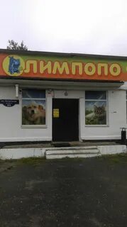 Ветклиника ступино