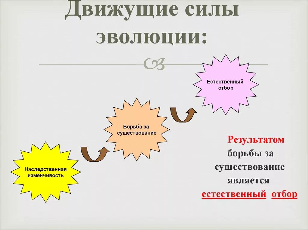 Теория дарвина движущие силы. Виды эволюции движущие. Движущие силы эволюции естественный отбор. Перечислить движущиеся силы эволюции. Наследственность и изменчивость движущие силы эволюции.