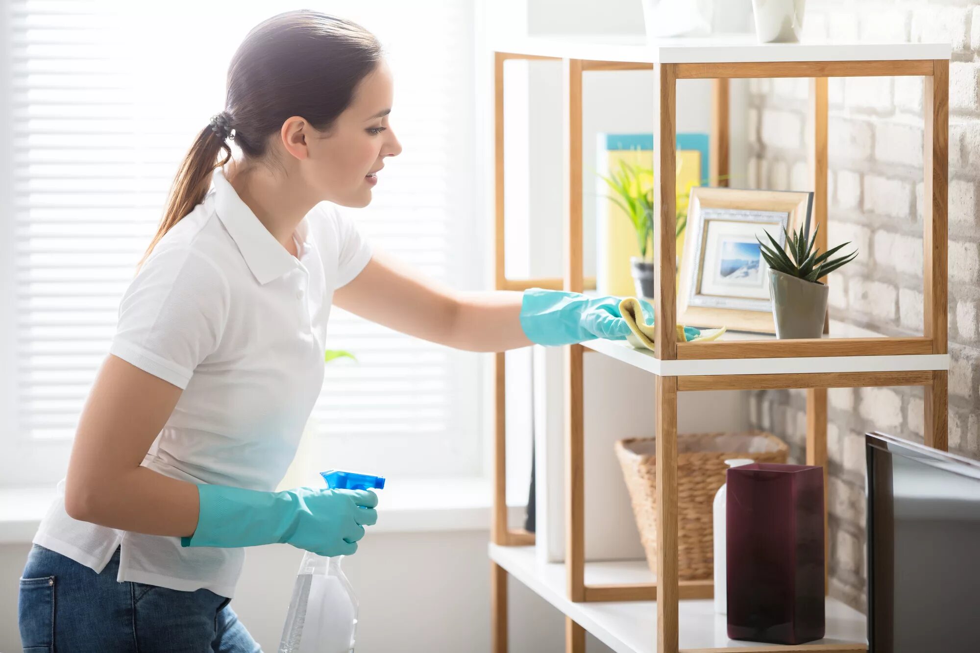 Woman cleaning. Протирание пыли. Чистота в доме. Чистота в квартире. Влажная уборка.