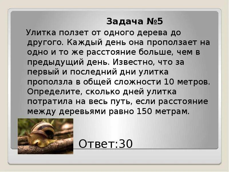 Какой путь проползет улитка. Улитка проползает от одного дерева до другого. улитка ползет от одного. улитка ролзет от одного дерева додрушого. ползет улитка каждый день она проползает.
