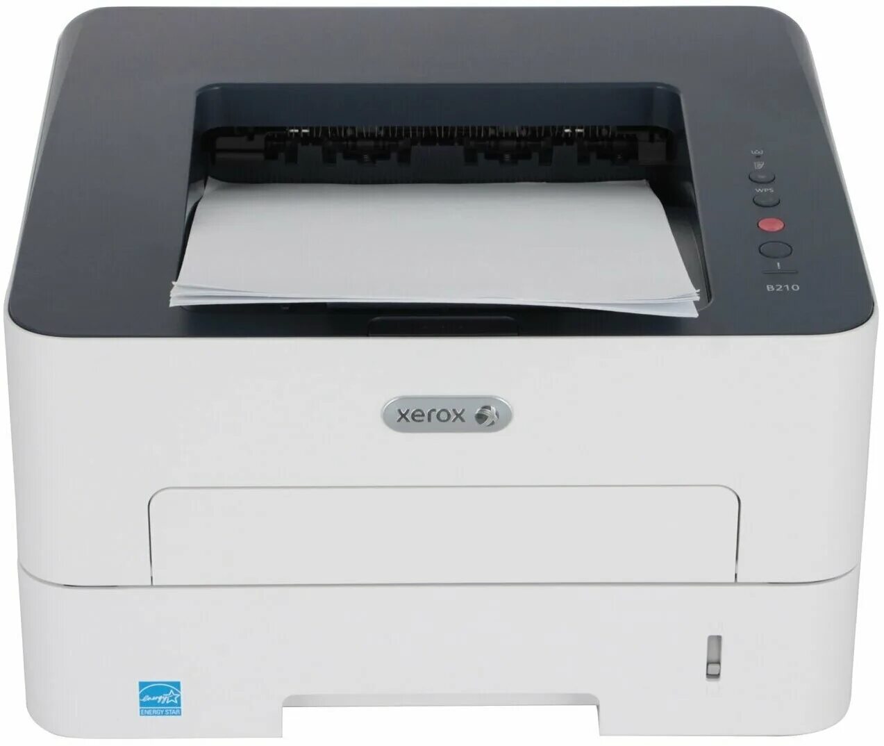 Принтер лазерный Xerox b210. Лазерный принтер Xerox b210vdni. B210v_dni принтер Xerox b210. Принтер Xerox b210 (белый).