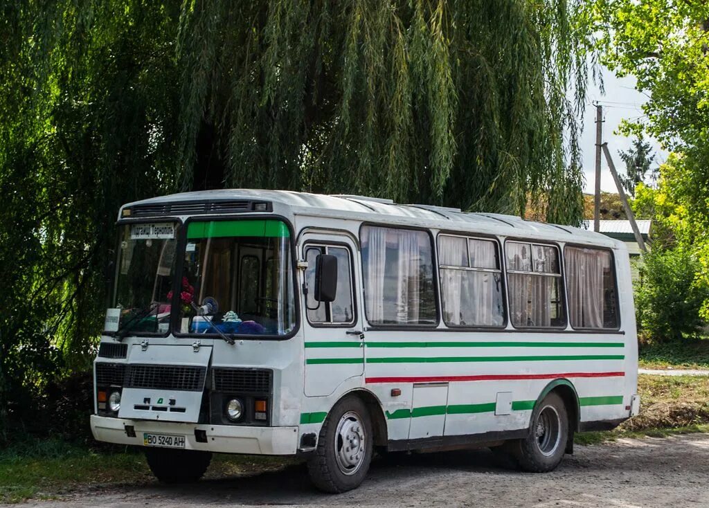 Автобус паз краснодарский край. ПАЗ 32054 новый. ПАЗ 320054. ПАЗ 33054. ПАЗ 32054 сбоку.