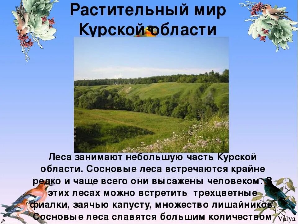 Природа родного Курского края. Разнообразие природы Курского края. Книга природы родного края. Растительный мир Курской области. Доклад о родном крае