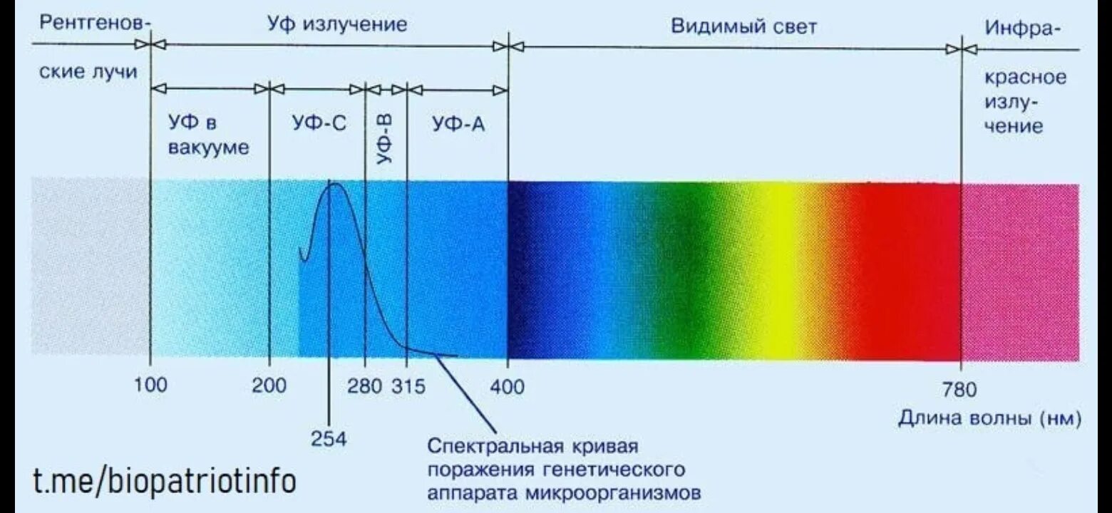 Диапазон длин волн ультрафиолетового излучения. Ультрафиолетовая лампа диапазон спектра. УФ спектр длина волны. Спектр ультрафиолетовой лампы. Длина волны видимого света в мкм