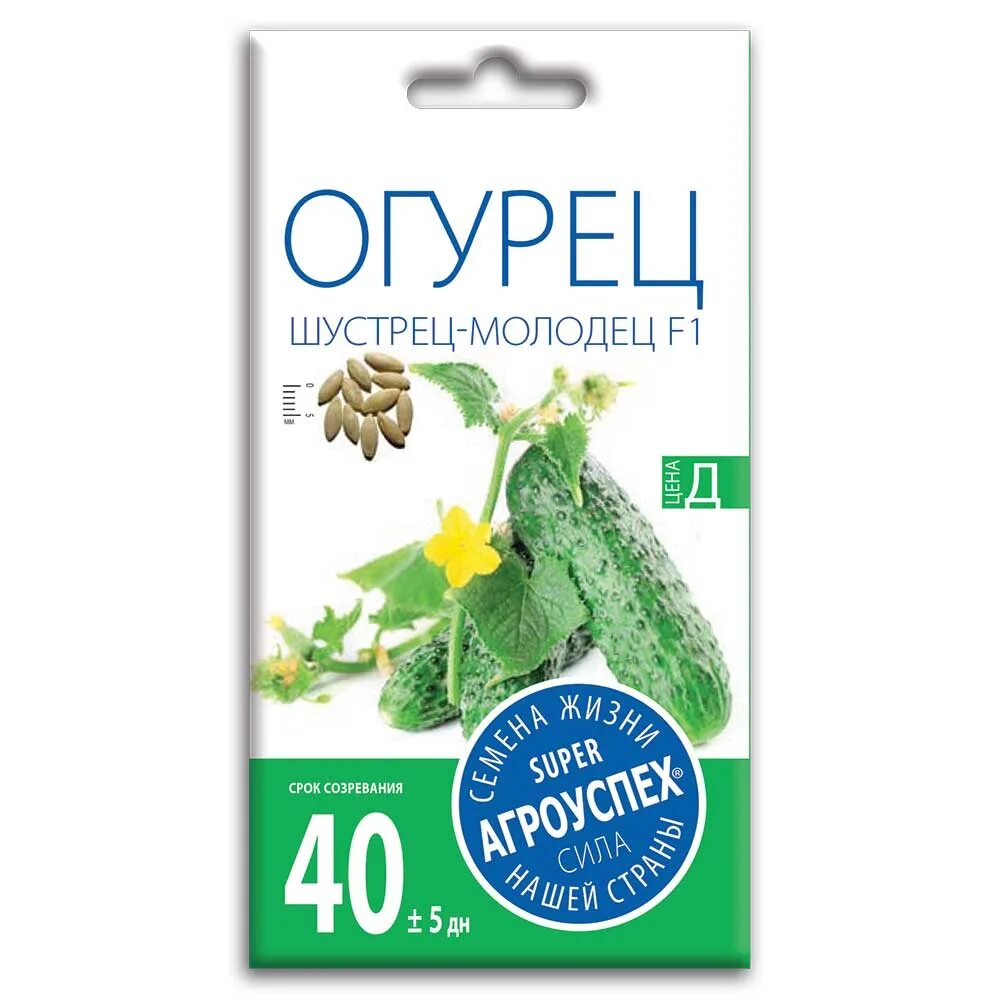 Шустрец молодец огурец описание. Огурец шустрец-молодец f1, 12шт (п). Шустрец молодец огурец. Огурец шустрец молодец f1 10шт ур. Шустрец молодец огурец описание.