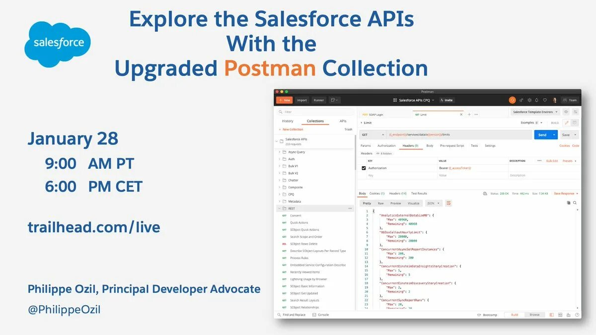 Postman Salesforce. Postman collection meaning. Postman collection