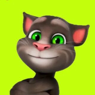 Говорящий том из тик тока