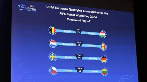 Euro business cup 2024