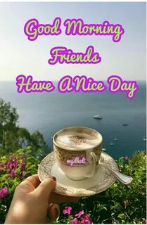 Morning friends