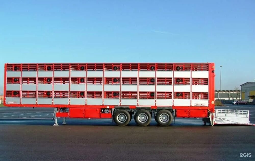 Скотовоз для крс. Услуги скотовоза. Полуприцеп свиновоз. Полуприцеп pezzaioli sba63. Полуприцеп-скотовоз апс 552400.