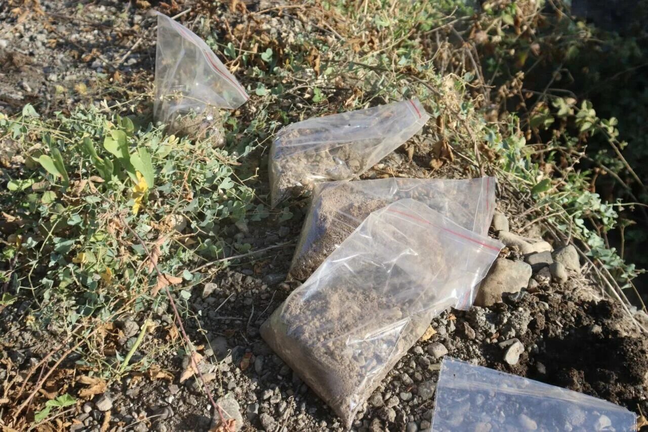 В лабораторию прислали образец почвы из теплицы. В лабораторию прислали образец почвы из теплицы