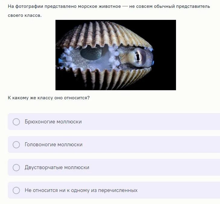 Сириус результаты биологии. Ответы Сириус биология 9 класс 2023. Сириус биология 9 класс ответы.