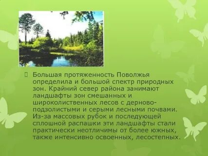 Какие леса в поволжье