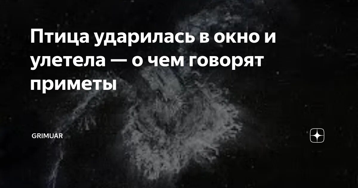 Птица стукнулась в окно примета. Птица ударилась в окно и улетела примета. Птица врезалась в окно примета. Птица стукнулась в окно и улетела к чему это примета. Птица ударилась в окно к чему это примета.