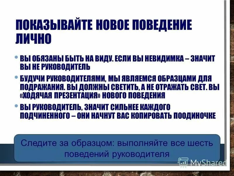 Поведение в новой организации