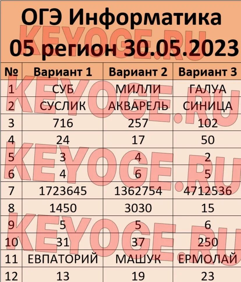 Регион информатика 2025. Регион информатика 2025