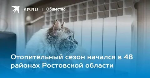 Когда в питере включат отопление