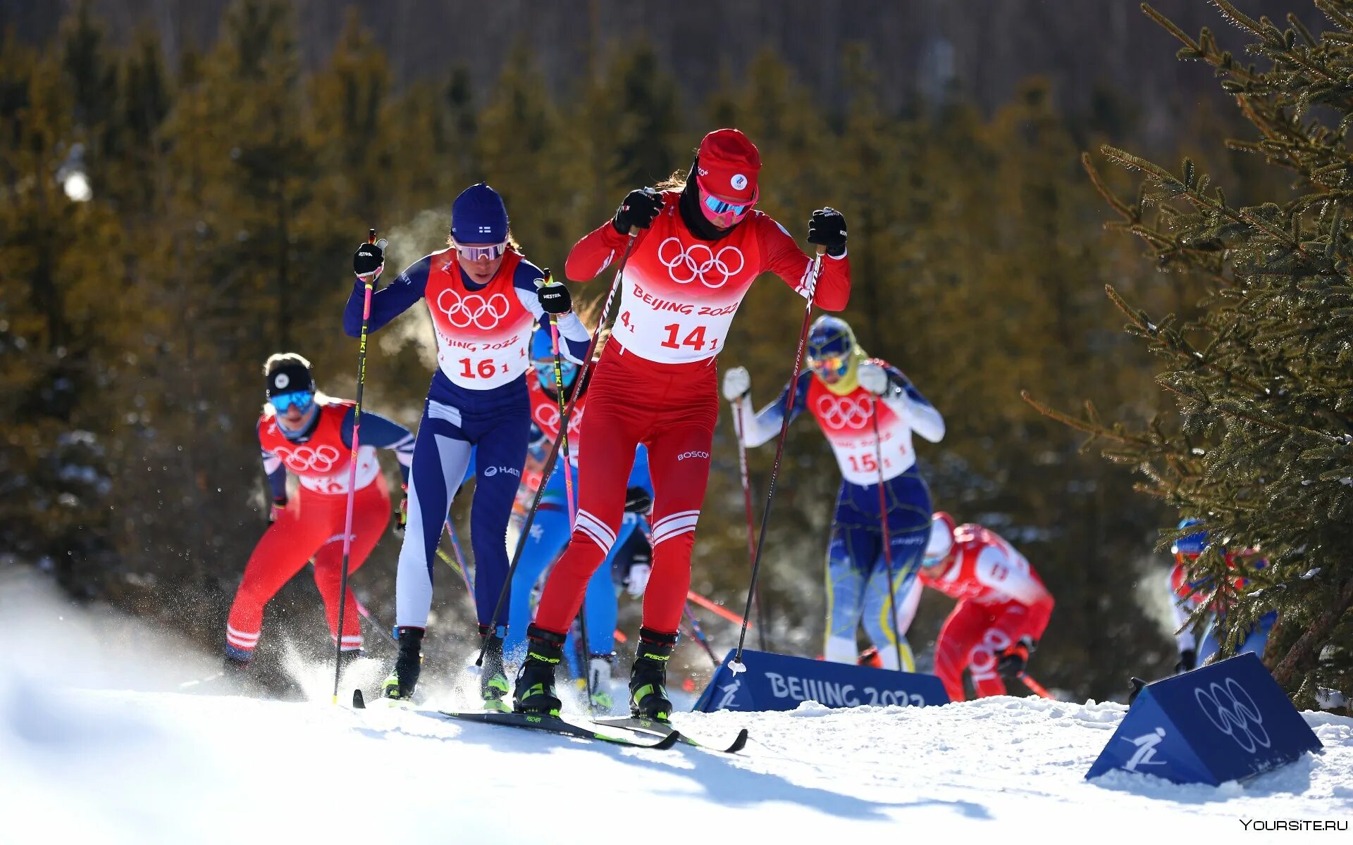 Лыжные гонки чемпионат россии спринт финал