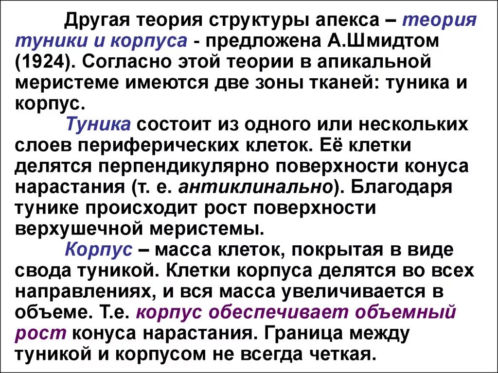 В условиях нарастания. Теория туники и корпуса теория гистогенов. Теория туники и корпуса Шмидта. Теория Шмидта ботаника. Туника и корпус.