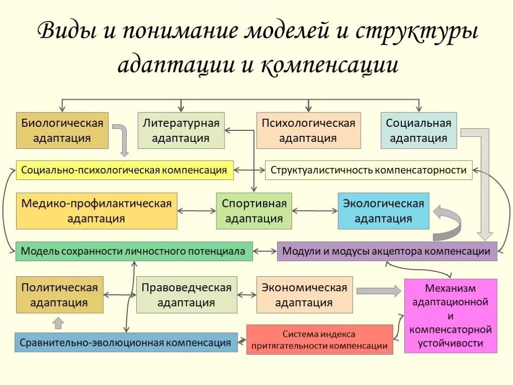 Политическая адаптация. Структура психологической адаптации. Структура социальной адаптации. Механизмы адаптации и компенсацию. Структуры и виды социальной адаптации.