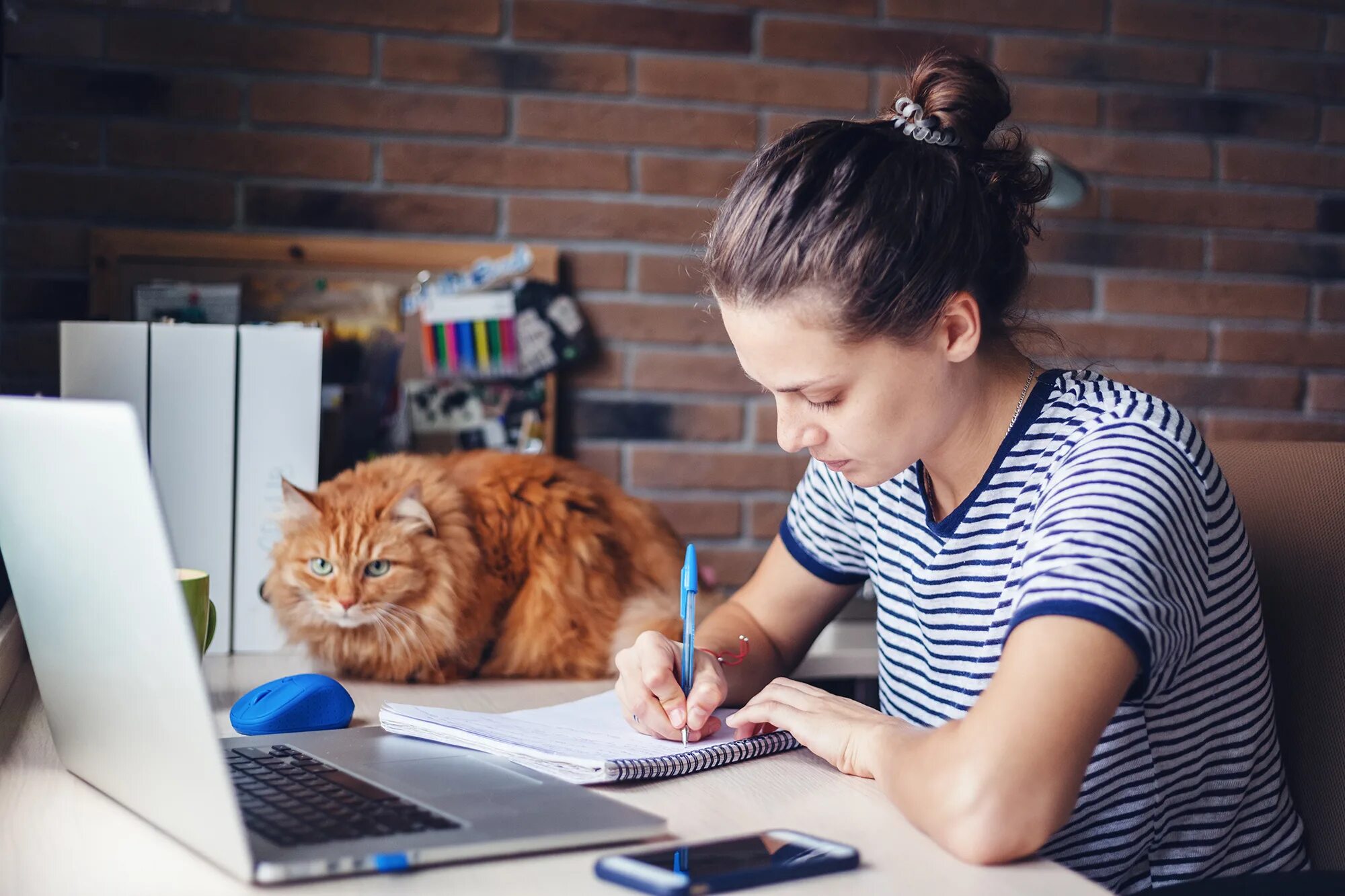 Блогер кошка. Девушка за учебой. Студент с ноутбуком. Учеба за компьютером. Девушка обучается.