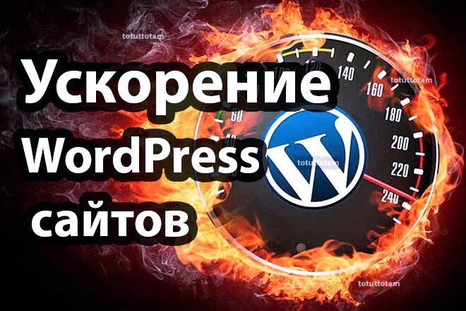 Заказать ускорение сайта. Ускорение сайта на WORDPRESS. Ускорить сайт на WORDPRESS. WORDPRESS разгон. Ускоритель сайта.