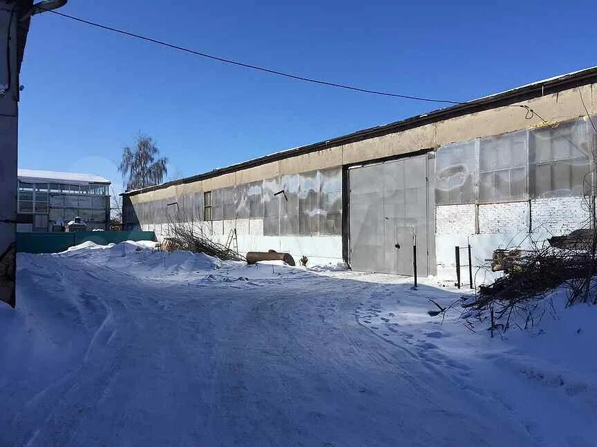 Чистополь улица маринина. Магазин эконом город чистополь. Аренда в чистополе. Ленина, 36. Аренда в чистополе.