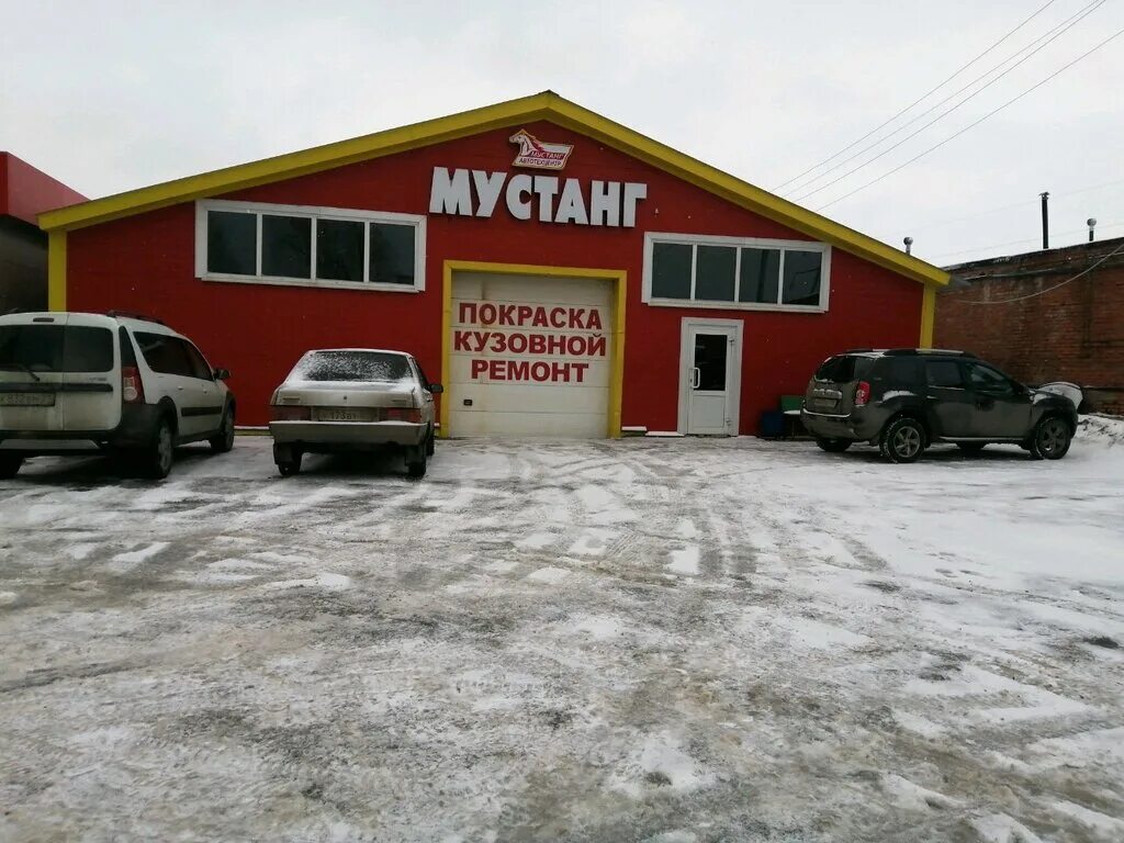 Автосервис мустанг логотип. Автомагазин ноябрьск. Автосервис мустанг. Автосервис мустанг воронеж. Мустанг автосервис.