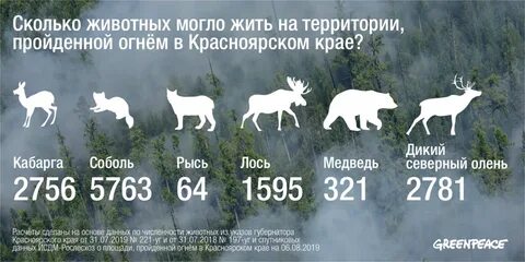Красноярский край 2019 год
